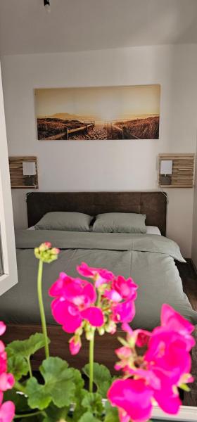 Apartman Pontica